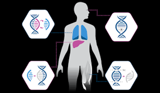 Genetic Diseases and Gene Therapies