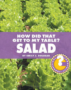 How Did That Get To My Table? Salad