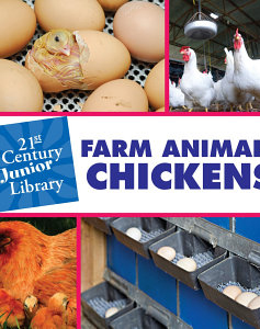 Farm Animals: Chickens
