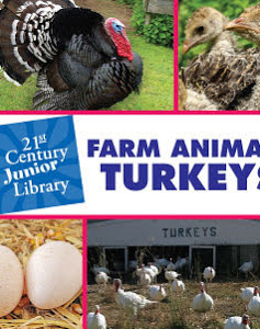 Farm Animals: Turkey
