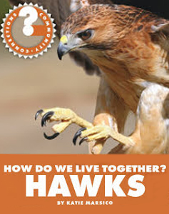 How Do We Live Together? Hawks