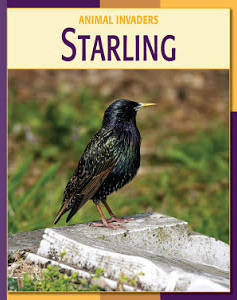 Starling