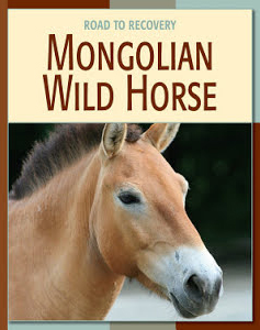 Mongolian Wild Horse