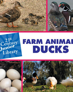 Farm Animals: Ducks