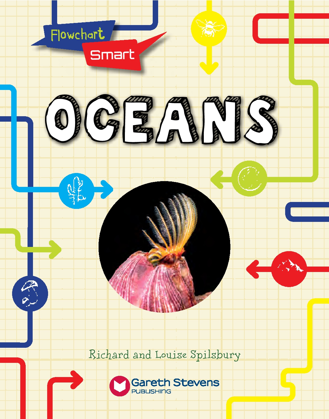 Flowchart Smart Ecosystems: Oceans