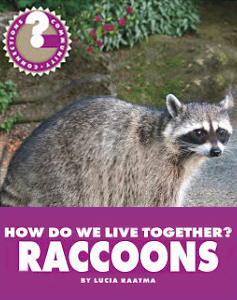 How Do We Live Together? Raccoons