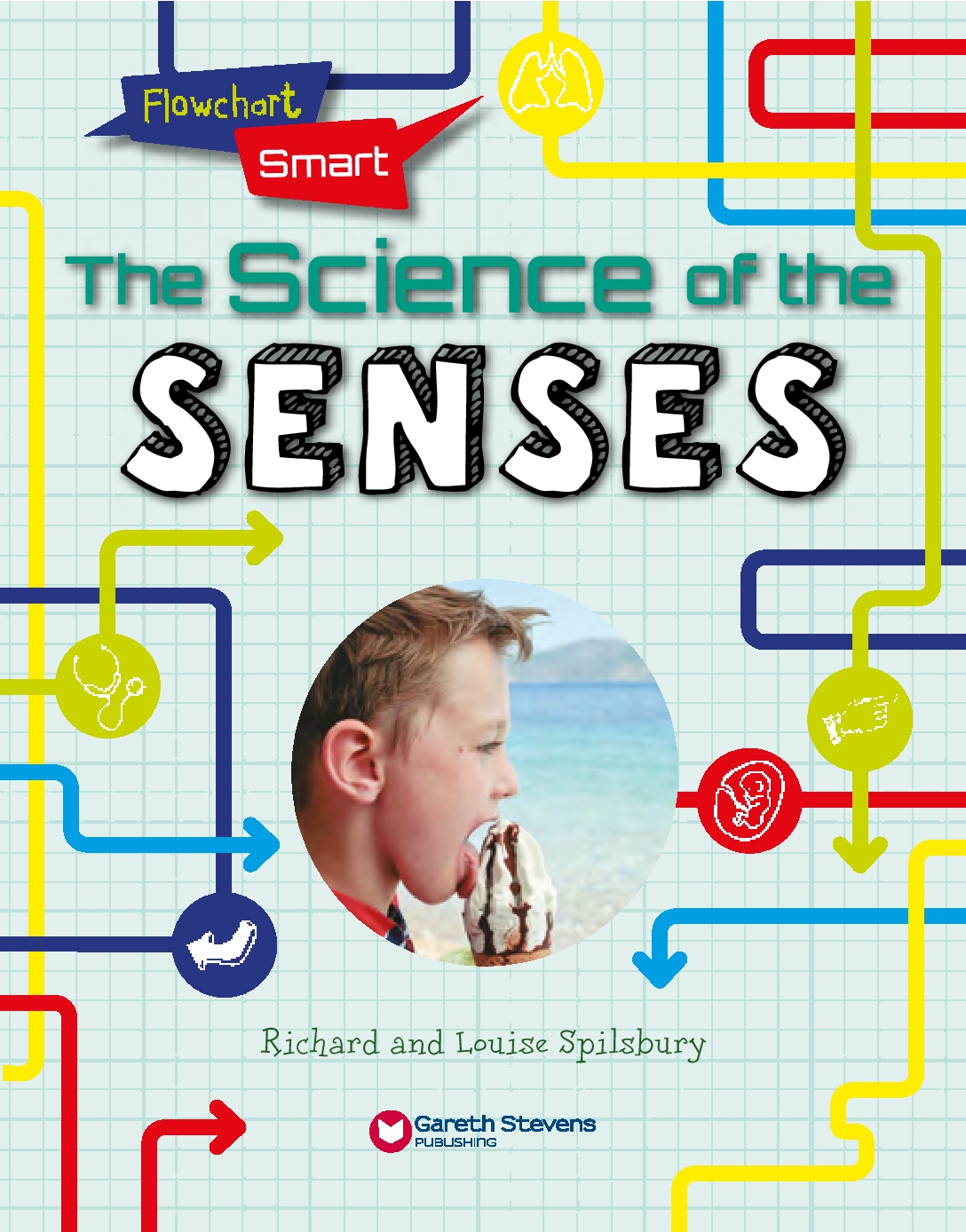 Flowchart Smart Human Body: Senses