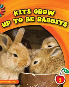 Kits Grow Up To Be Rabbits