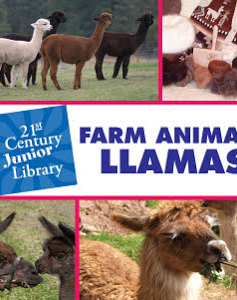 Farm Animals: Llama