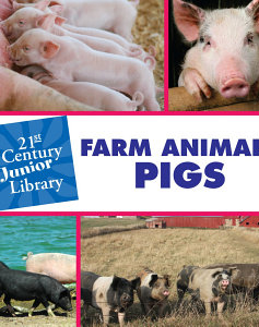 Farm Animals: Pigs